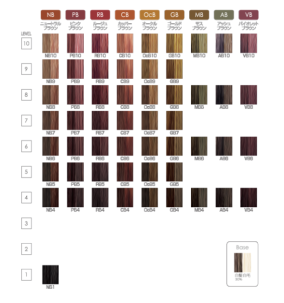 �J���[�`���[�g�B