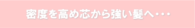 密度を高め芯から強い髪へ