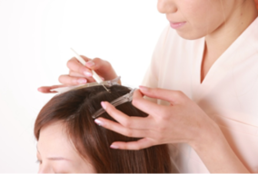 ���уG�N�X�e�ʐ^