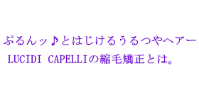 ぷるんとはじけるウルツヤヘアーLUCIDICAPELLIの縮毛矯正とは。