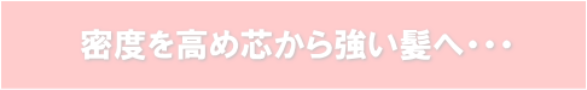 密度を高め芯から強い髪へ・・・