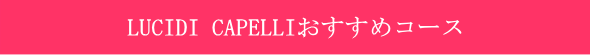 LUCIDICAPELLIおすすめコース