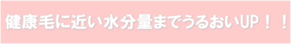 健康毛に近い水分量までうるおいがUP！！