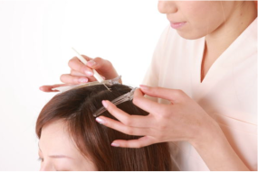 ���уG�N�X�e�̎ʐ^