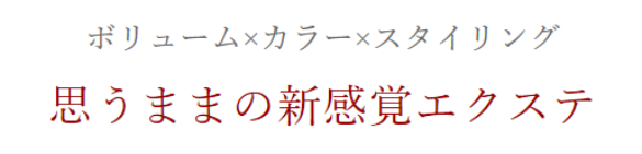 ボリューム×カラー×スタイリング思うままの新感覚エクステ